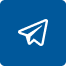 Sybotik Telegram logo